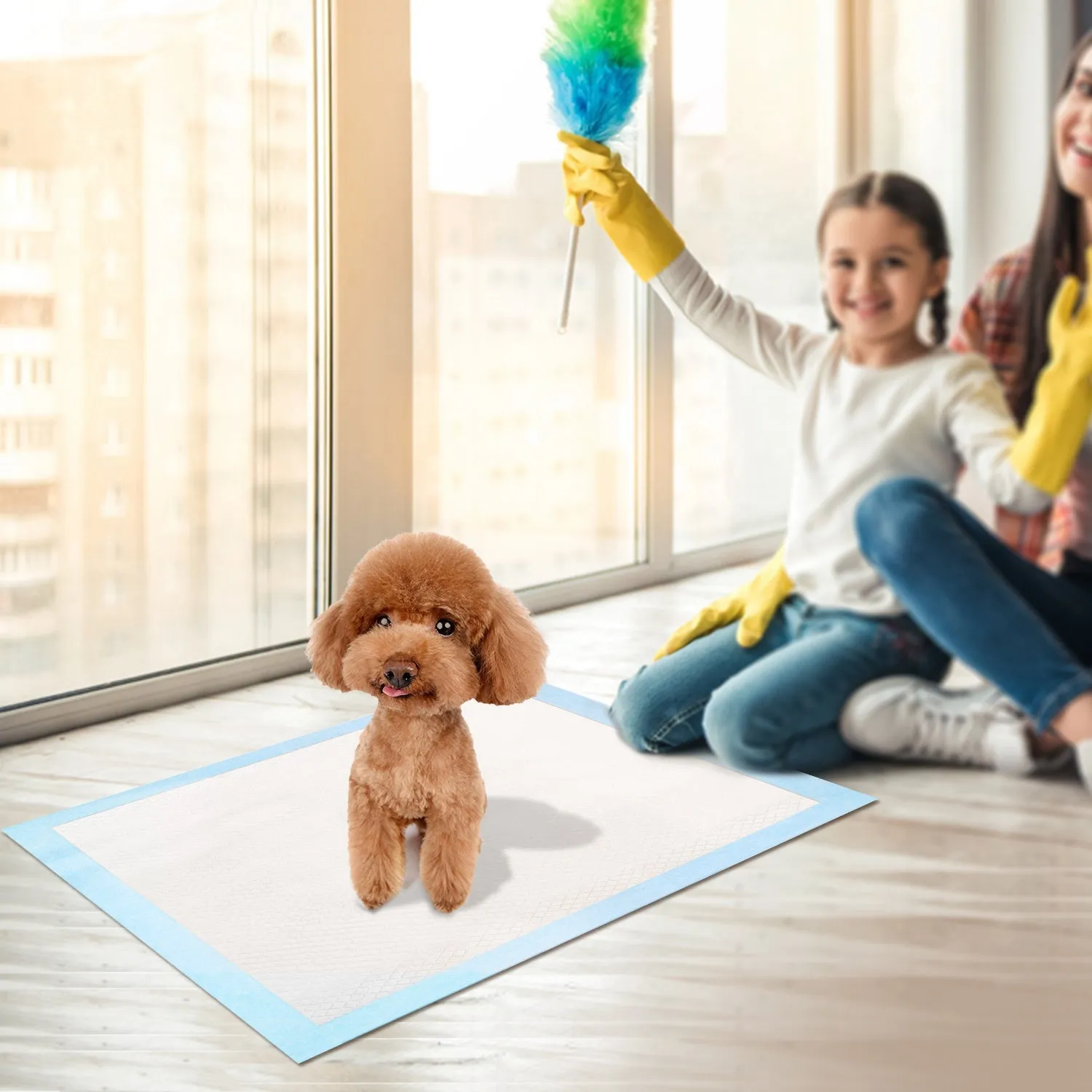 50-Piece: Dog Training Pads