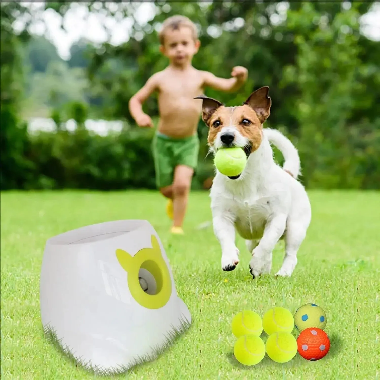 Auto Ball Launcher: the Ultimate Canine Entertainment Solution