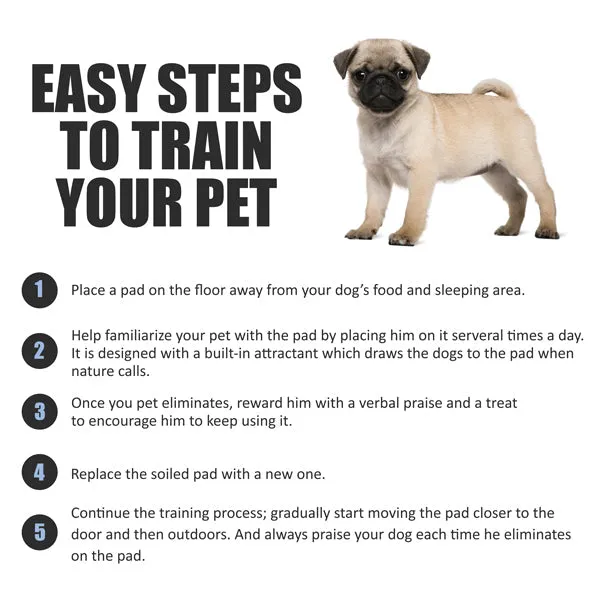 BV Pet Potty Training Pee Pads - Disposable Dog and Puppy Pee Pads, 28" x 34", 40-Count