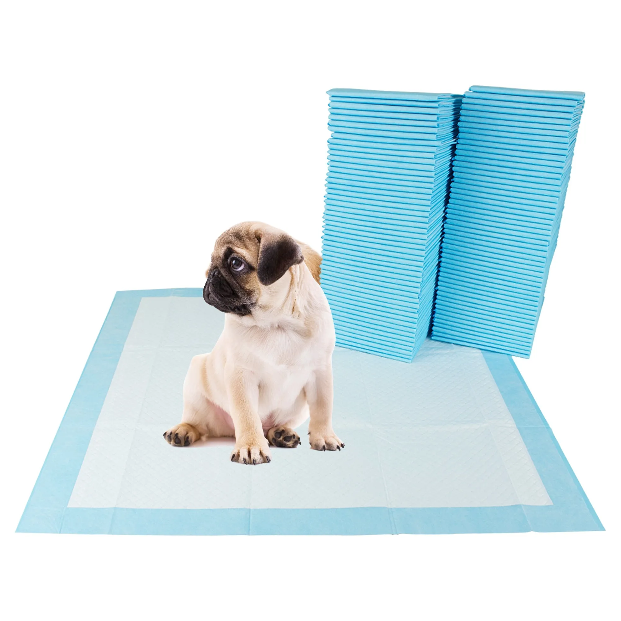 BV Pet Potty Training Pee Pads - Dog and Puppy, 22" x 22", 100-Count