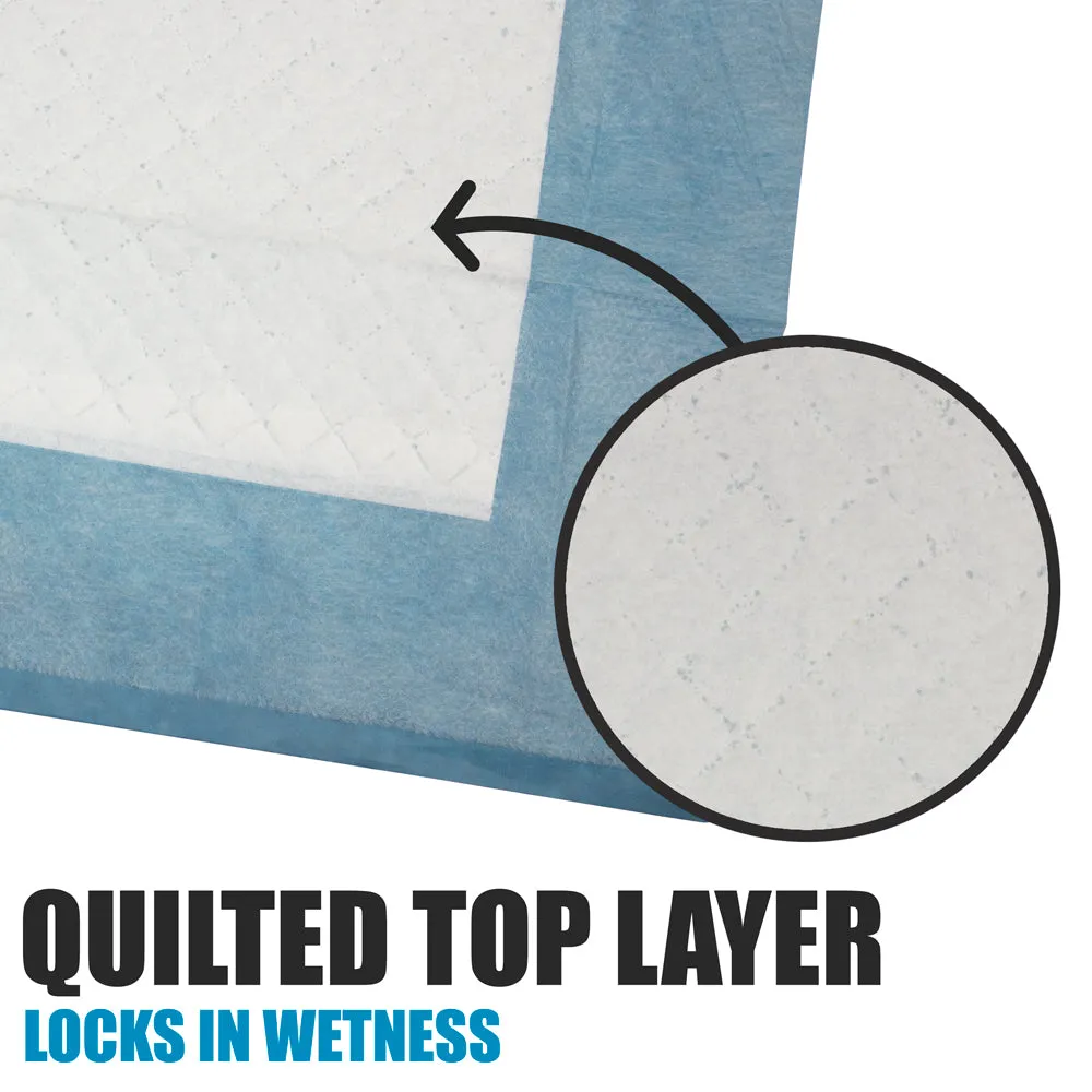 BV Pet Potty Training Pee Pads - Dog and Puppy, 22" x 22", 100-Count