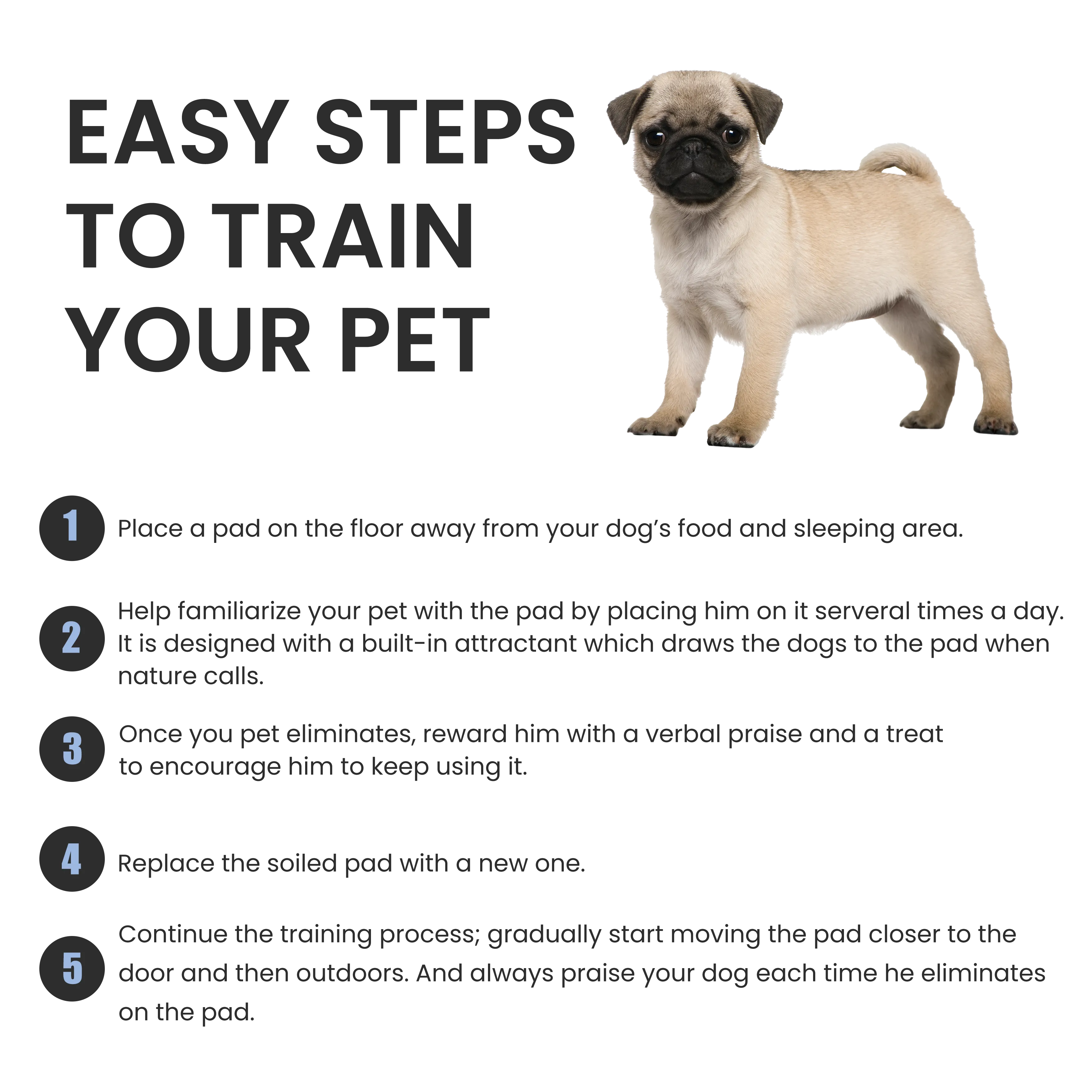 BV Pet Potty Training Pee Pads - Dog and Puppy, 22" x 22", 100-Count