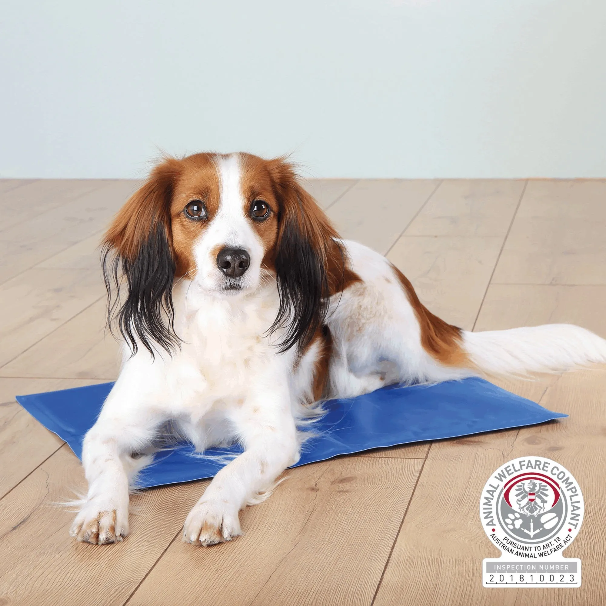 Cooling Mat for Dogs & Cats - Size Varieties
