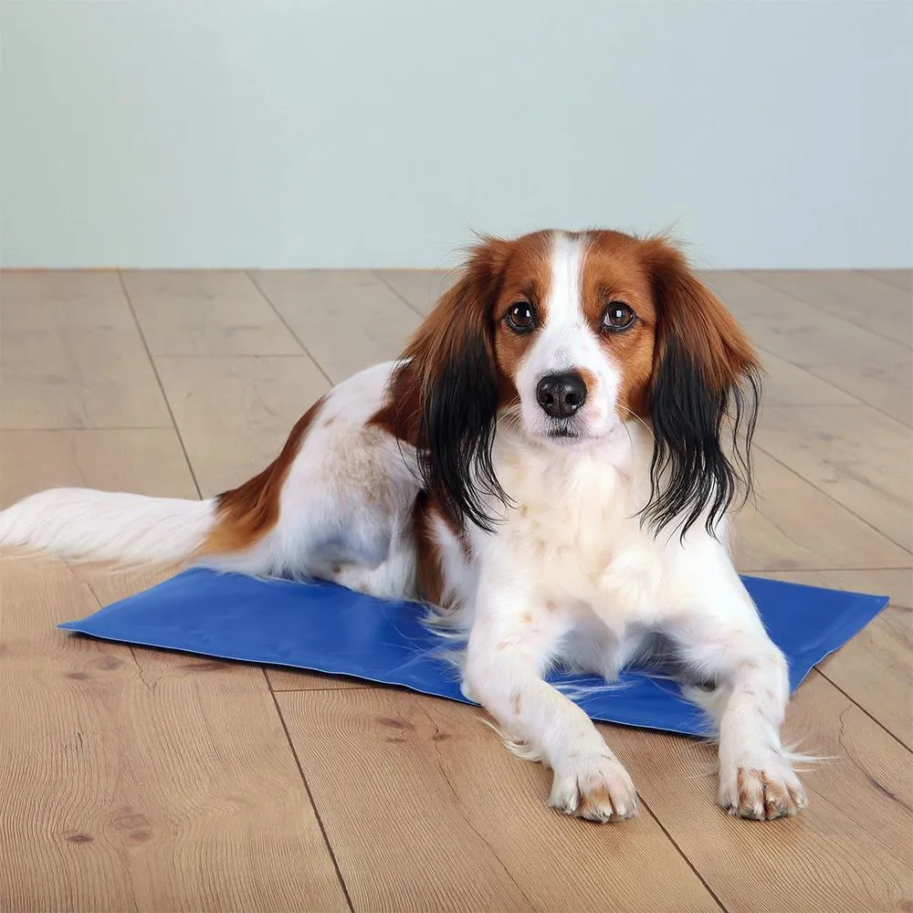 Cooling Mat for Dogs & Cats - Size Varieties
