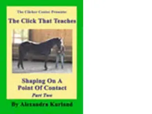 DVD: Lesson 6: Shaping on a Point of Contact Now an On-line Mini Course