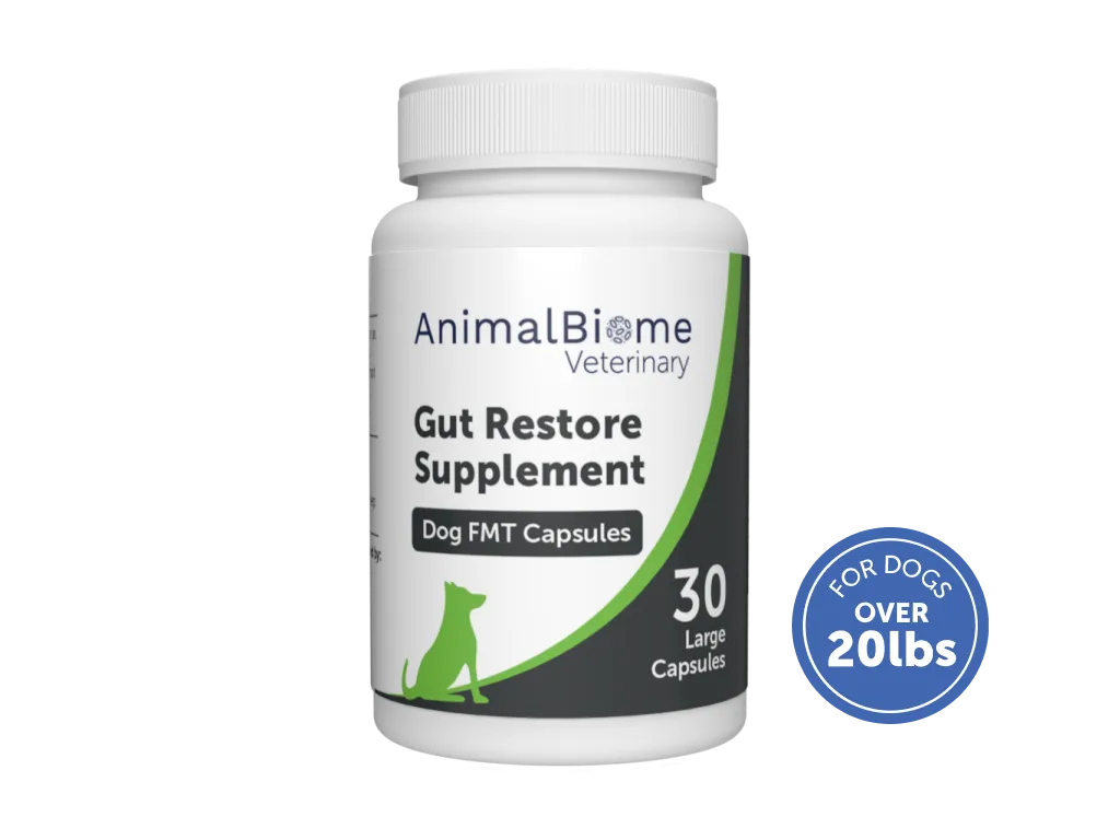FMT Gut Restore Capsules For Dogs (2 Sizes Available)
