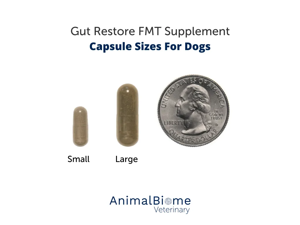 FMT Gut Restore Capsules For Dogs (2 Sizes Available)