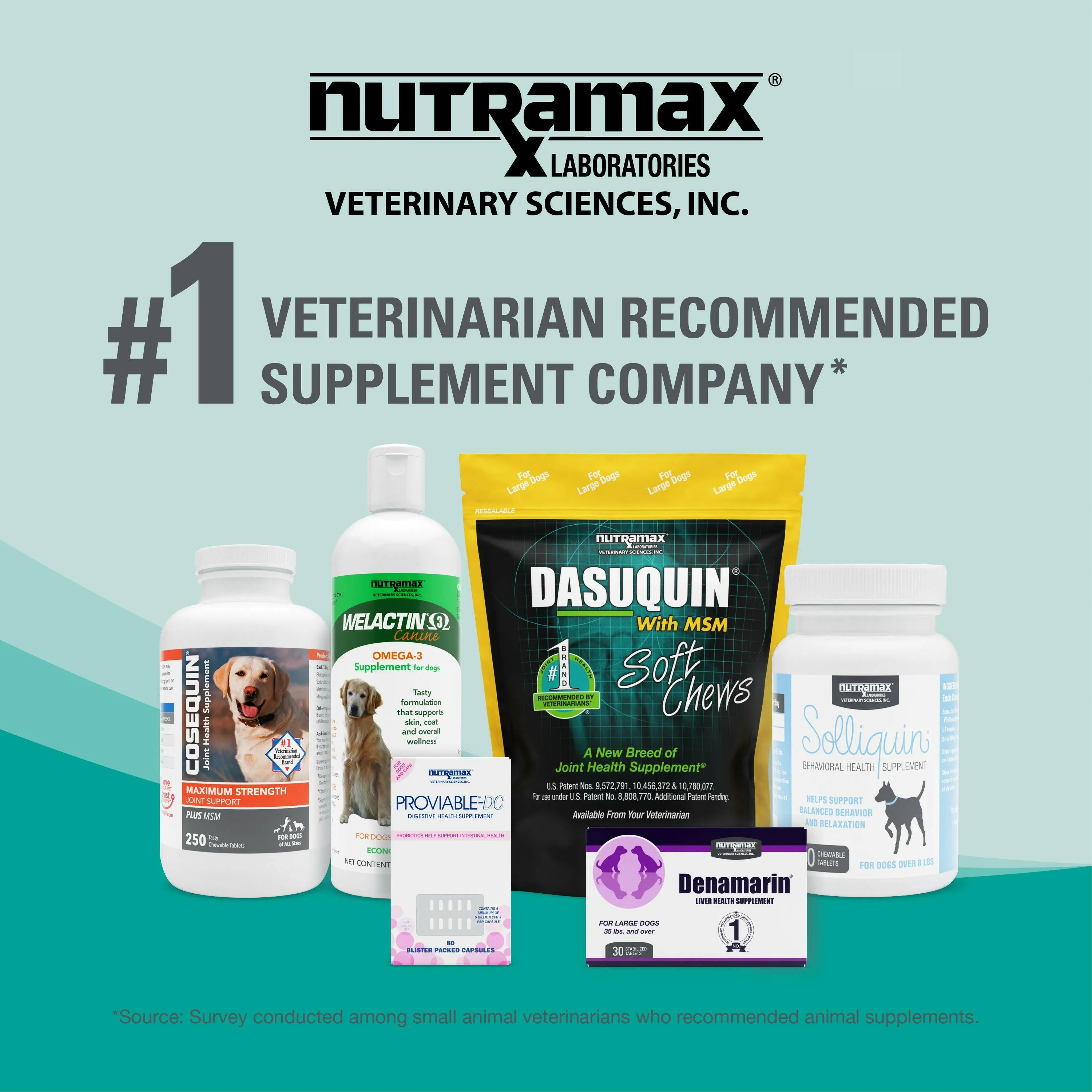 Nutramax Dasuquin Joint Health Supplement for Large Dogs - With Glucosamine, Chondroitin, ASU, Boswellia Serrata Extract, and Green Tea Extract, Chewable Tablets