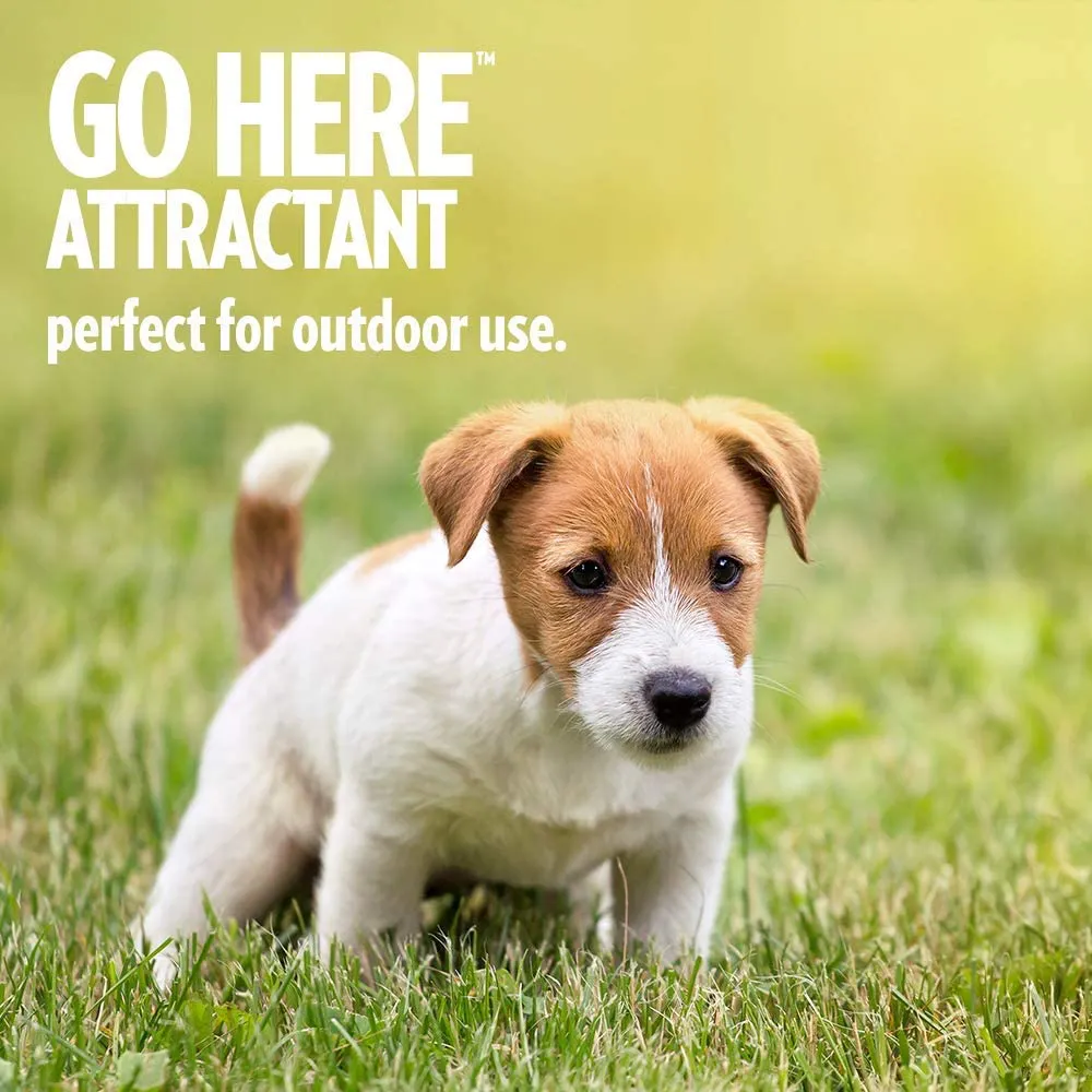 OUT! Go Here Attractant Indoor & Outdoor Dog Training Spray | Housetraining Aid for Puppies and Dogs | 32 Oz