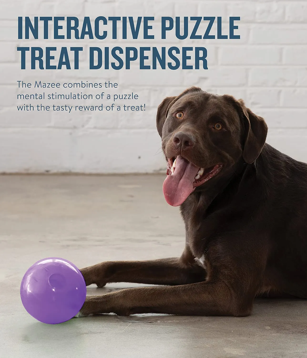 Outward Hound Planet Dog Tuff Mazee Interactive Treat Dispensing Ball Puzzle Dog Toy - Pink