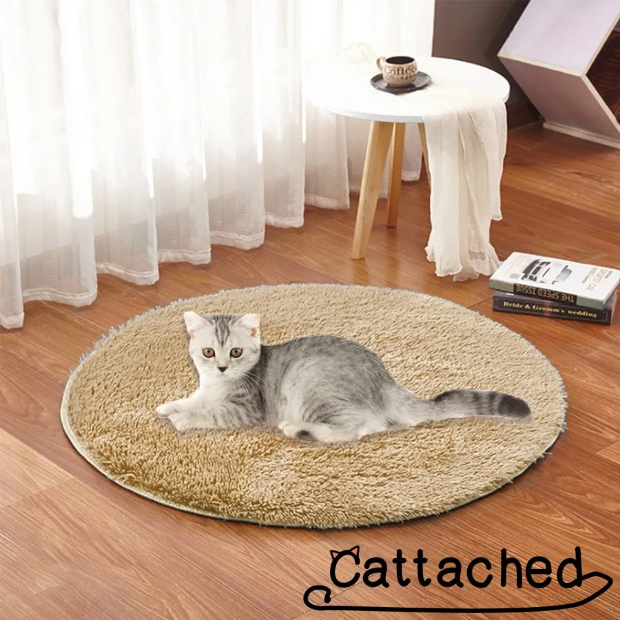 Premium Heated Cat Bed