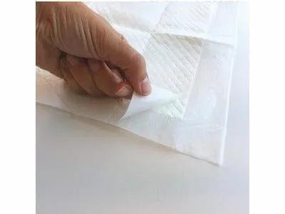 Puppy 45 X 60 Training Pads  - 30 Pcs
