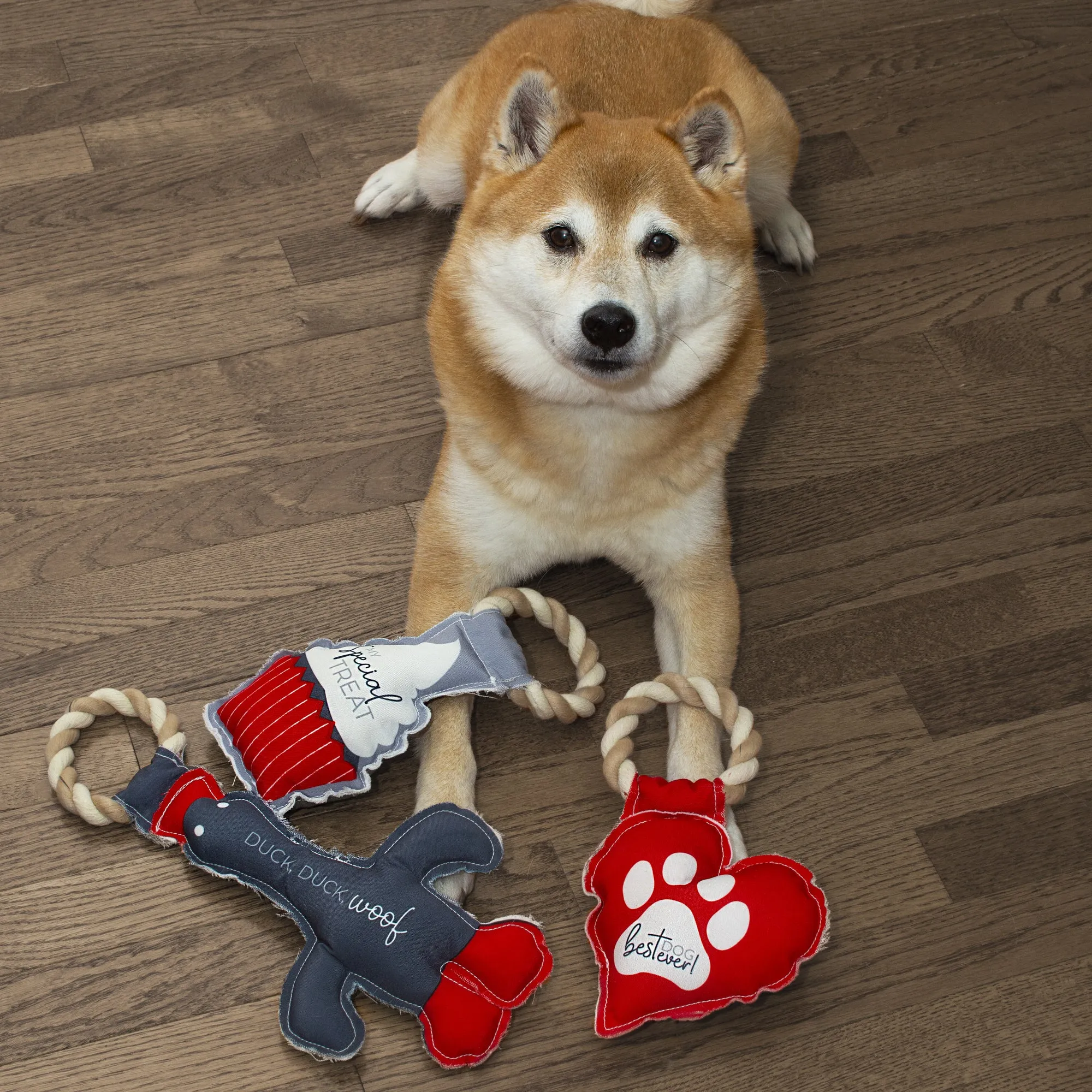 Treat 10" Canvas Dog Toy on Rope