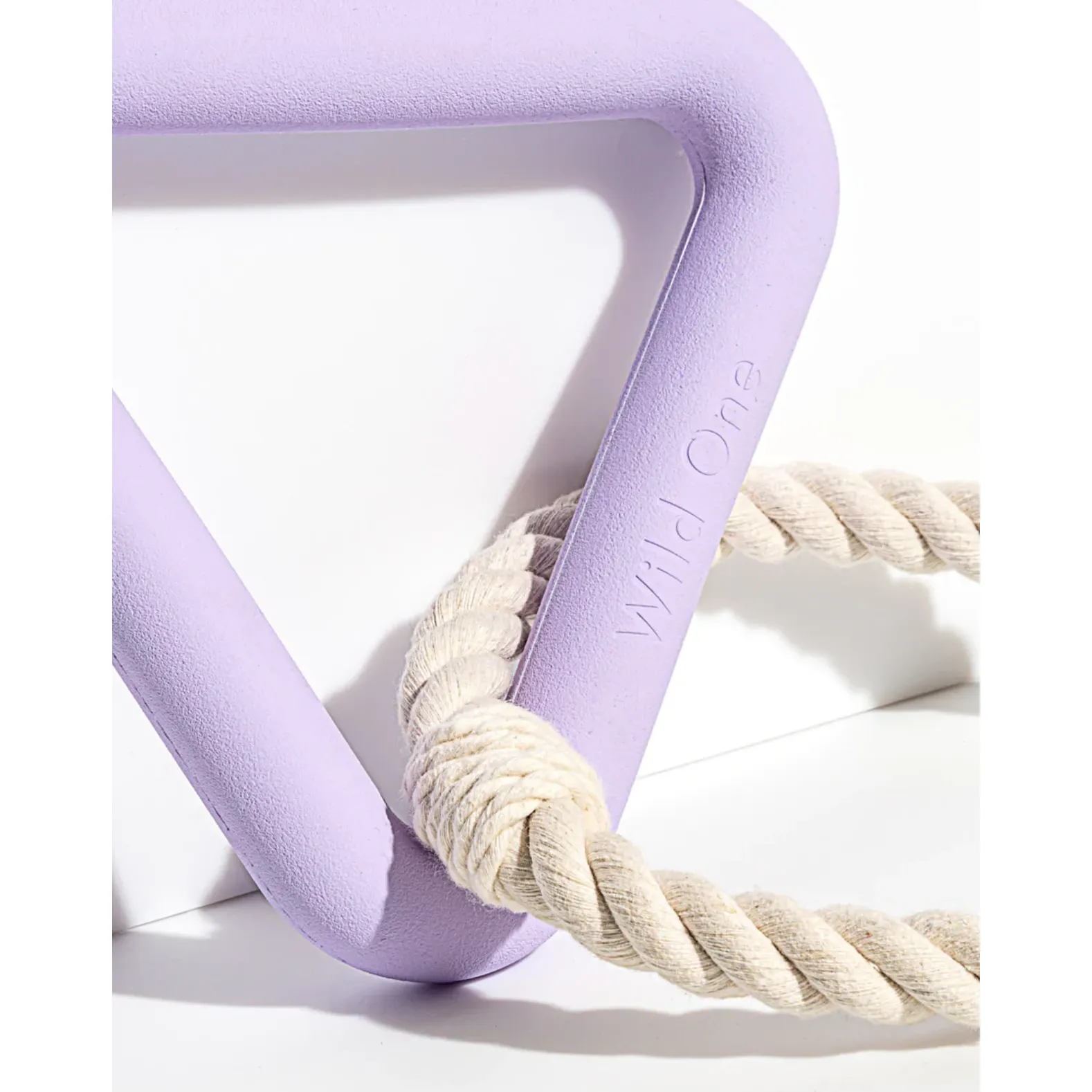 Wild One Toy Triangle