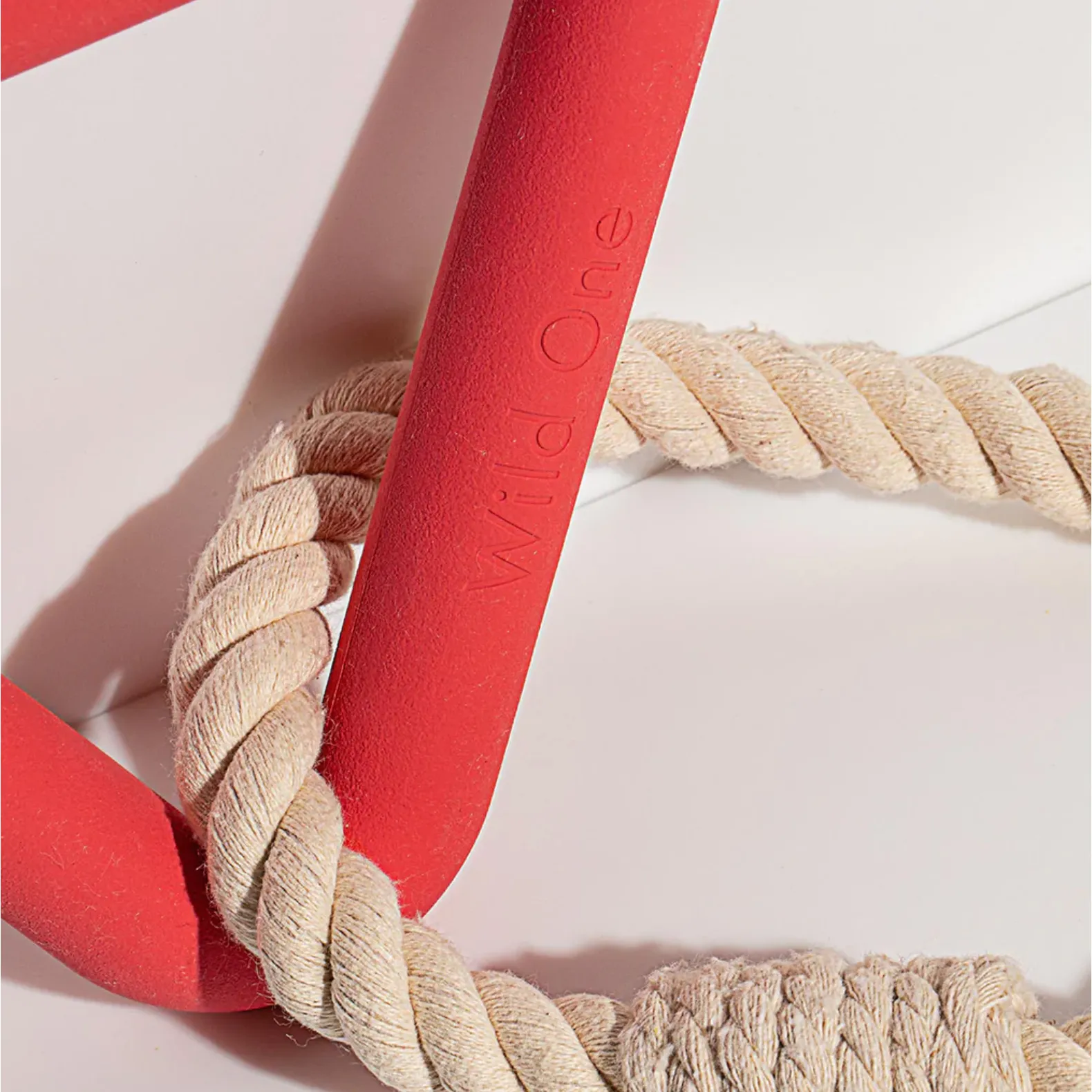 Wild One Toy Triangle