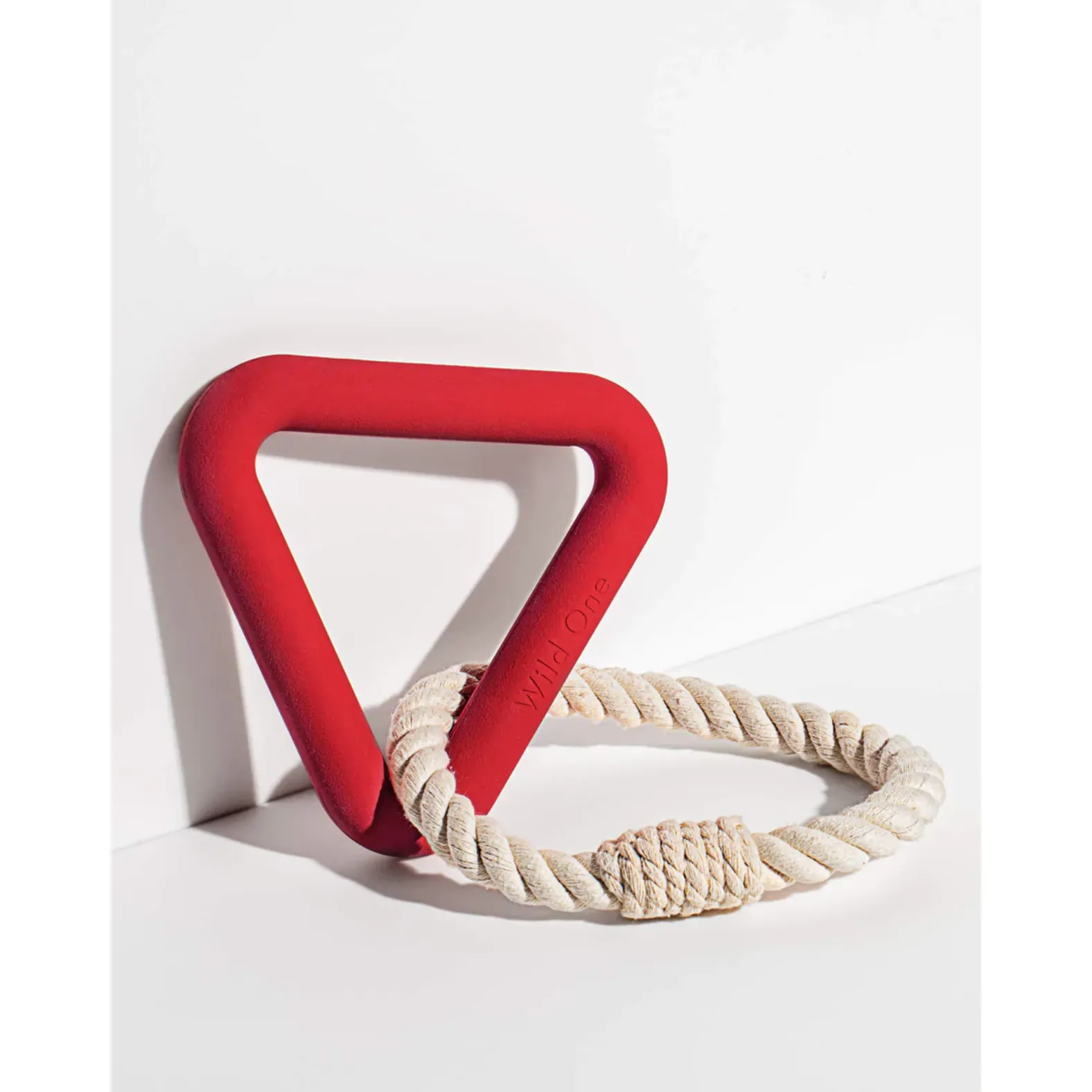 Wild One Toy Triangle