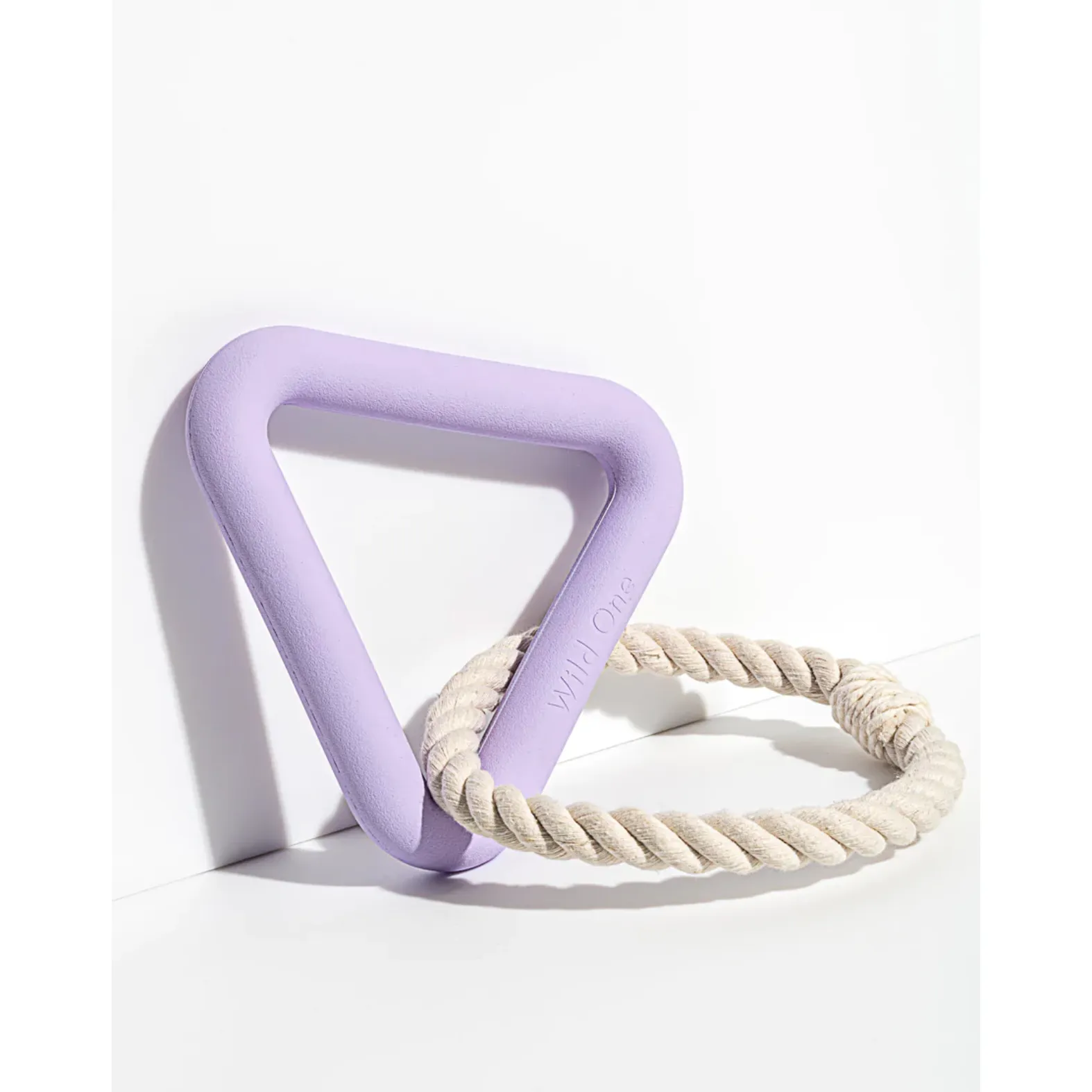 Wild One Toy Triangle